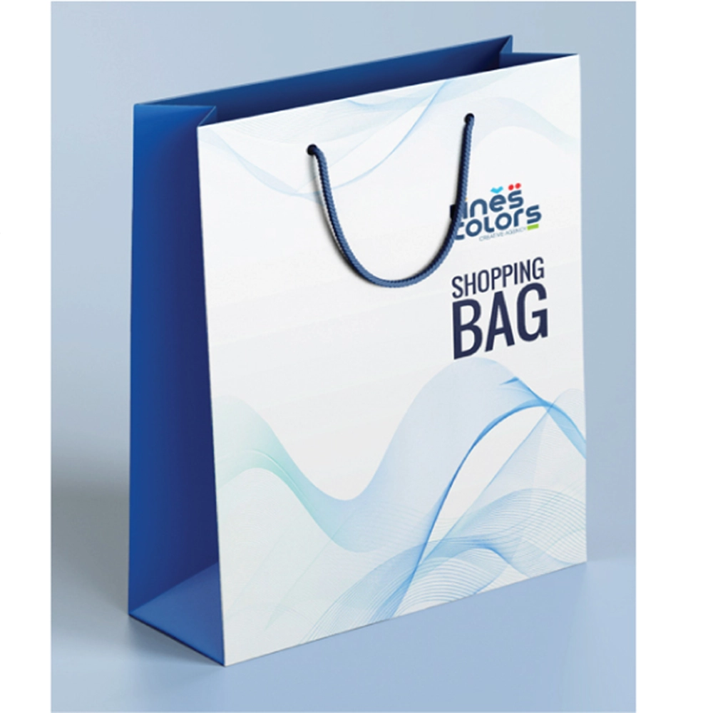 Ana Sayfa 4 Logo Baskılı Karton Çanta 11,3x20x5 cm görseli